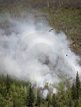 A Helicopter Carries a Bucket of Water over a Forest Fire