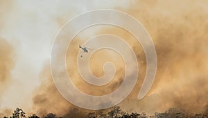 Helicopter dropping water on forest fire