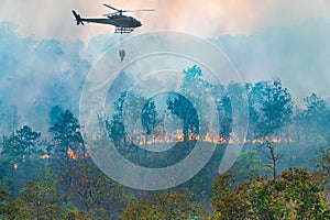 Helicopter dumping water on forest fire