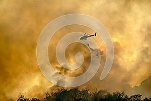 Helicopter dumping water on forest fire