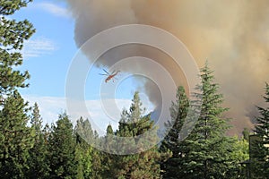 Helicopter fighting a wild fire photo