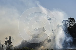 Helicopter flies over forest fire