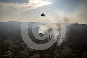 helicopter flies over jungle, with view of smoke rising from recent fire