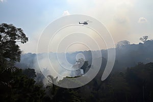 helicopter flies over jungle, with view of smoke rising from recent fire