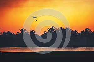 Helicopter flying over burning forest of palm trees, sunset silhouettes