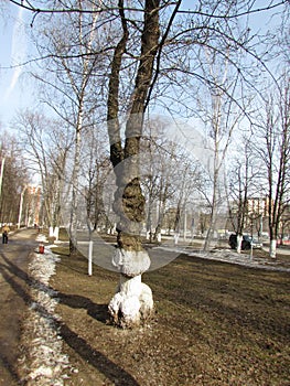 Helicopter flying in the sky