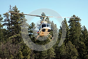 Helicopter in forest