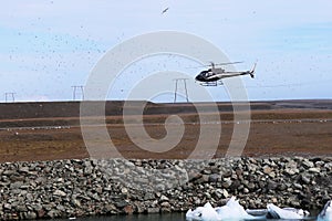 Helicopter landing surrounded by flock of birds. Troubles and obstacles for flight. Accident risk