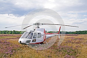 Helicopter on meadow