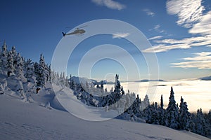 Helicopter Skiing img