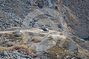 Helicopter on a takeoff platform between the mountains of Nepal`s Langtang National Park