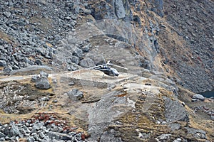 Helicopter on a takeoff platform between the mountains of Nepal`s Langtang National Park