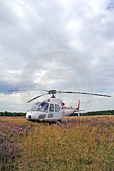 Helicopter on wild meadow