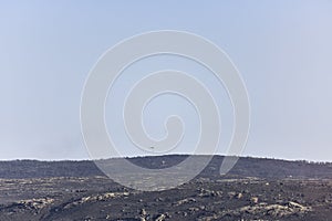 Helicopters over a landscape burned by a forest fire, finishing putting it out