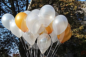 Helium Filled Party Balloons