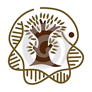 Helix dna genetic tree logo Icon Illustration Brand Identity