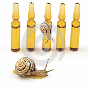 Helix pomatia. snail and medical ampoules for injections. mollusc and invertebrate. delicacy meat and gourmet food