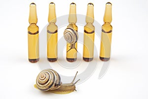 Helix pomatia. snail and medical ampoules for injections. mollusc and invertebrate. delicacy meat and gourmet food