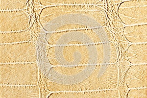 Hell beige leather texture