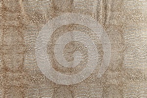 Hell brown snakeskin texture