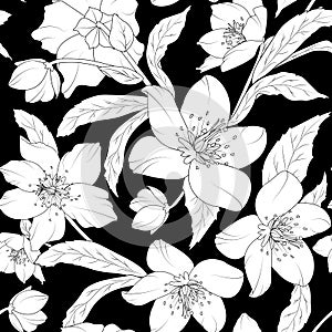 Hellebore floral foliage pattern white on black