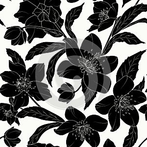 Hellebore floral seamless pattern black tattoo