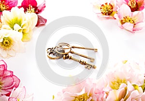 Hellebore flower or Helleborus orientalis and antiqued key on white