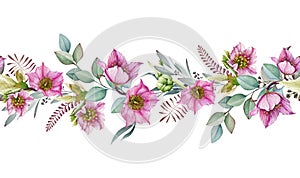 Hellebore flower seamless border. Spring pink flowers in the full bloom with eucalyptus leaves seamless decor. Beautiful
