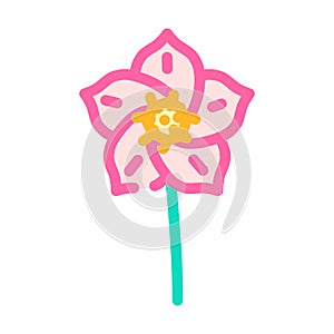 hellebore flower spring color icon vector illustration