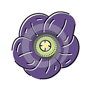 hellebore flower spring color icon vector illustration