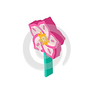 hellebore flower spring isometric icon vector illustration