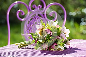 Hellebores flowers bouquet on a garden table