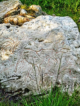 Helleristninger Vevelstad, rock art from 6000 years agi