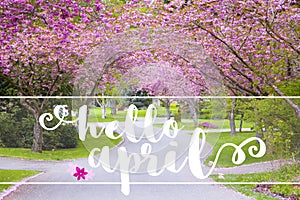 Hello April message on a quiet country road lined with spring fl