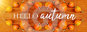 Hello autum background banner panorama - Colorful autumnal orange pumpkins on brown rustic wooden table texture, top view, white