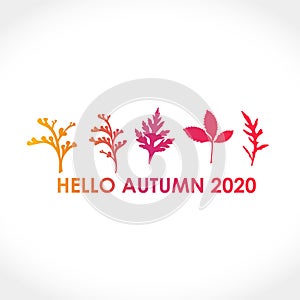 Hello Autumn 2020. Seasonal poster. Calligraphy on the background of a yellow brown autumn leaf.