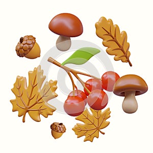 Hello autumn. 3D vector elements outlined in circle. Berries, mushrooms, leaves, acorns