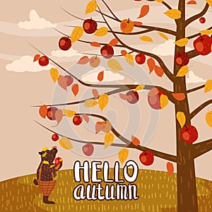 Hello Autumn apple tree Cute bear in pants with apple landscape fruit harvest season lettering in trend style flat