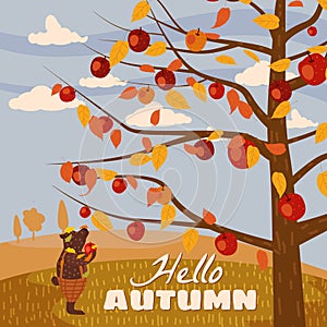 Hello Autumn apple tree Cute bear in pants with apple landscape fruit harvest season in trend style flat cartoon