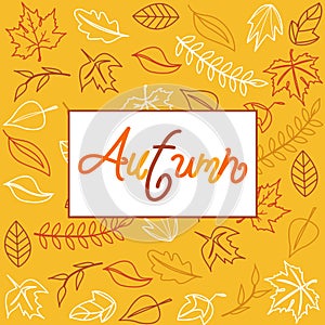 Hello Autumn. Autumn leaves background