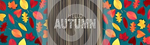 Hello autumn banner or header with wooden board plank for typography text and red and orange leaves over blue background.