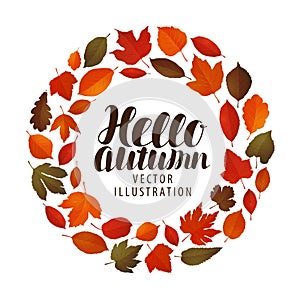 Hello autumn, banner. Leaf fall, decorative leaves concept. Vector illustration