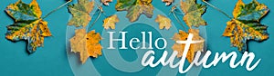 Hello autumn banner panorama - Background, Top view of many different colorful autumnal fallen colorful abstract maple leaves