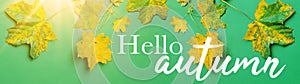 Hello autumn banner panorama - Background, Top view of many different colorful autumnal fallen colorful abstract maple leaves