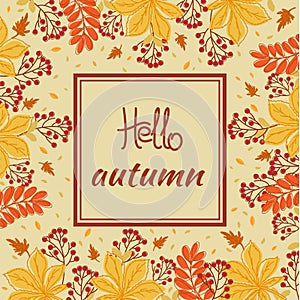 Hello autumn. Banner, poster, card. Autumn leaves, branch with rowan berry.