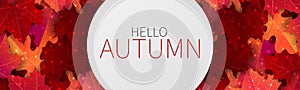 Hello autumn banner with red and orange maple leaves on the background.