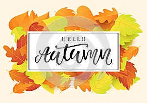 Hello autumn banner template