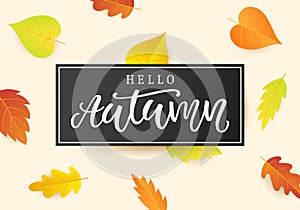 Hello autumn banner template. Fall seasonal calligraphy