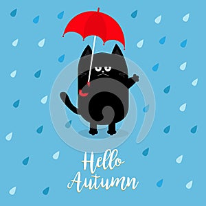 Hello autumn. Black cat holding red umbrella. Rain drops. Angry sad emotion. Hate fall. Cute funny cartoon baby character. Pet ani