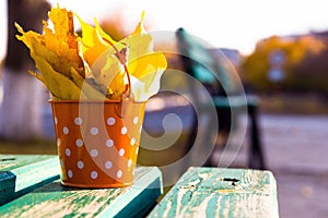 Hello, autumn. bucket with fallen autumn leaves.